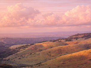 Where Fear Becomes Fuel: A Women’s MTB Experience in Monterey That Changes Everything