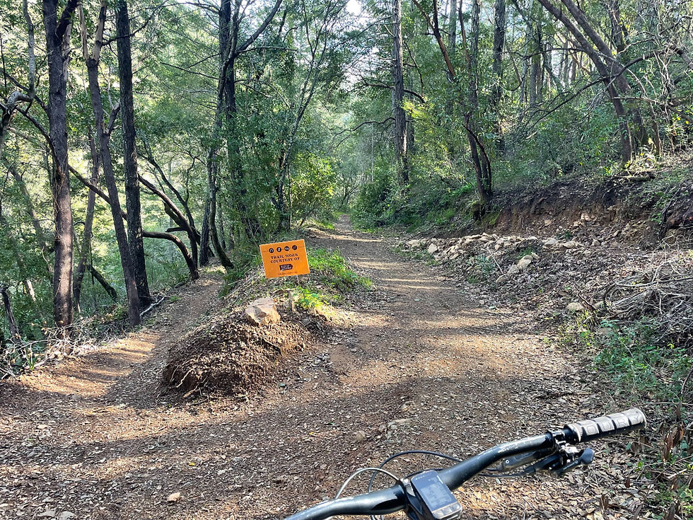 Redwood Trails Alliance (RTA) Trail Work at Moore Creek Park, Napa County, CA