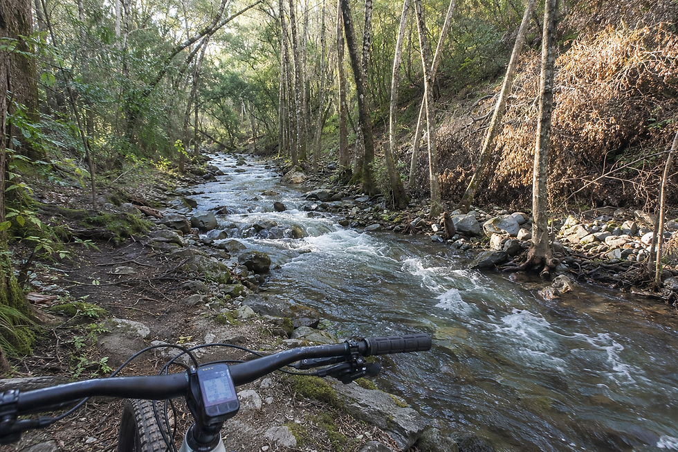 Moore Creek Mountain Biking Napa County California.png