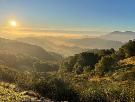 Marin County's Ultimate 6-Week Summer Camp Lineup Kids Won’t Want to Miss