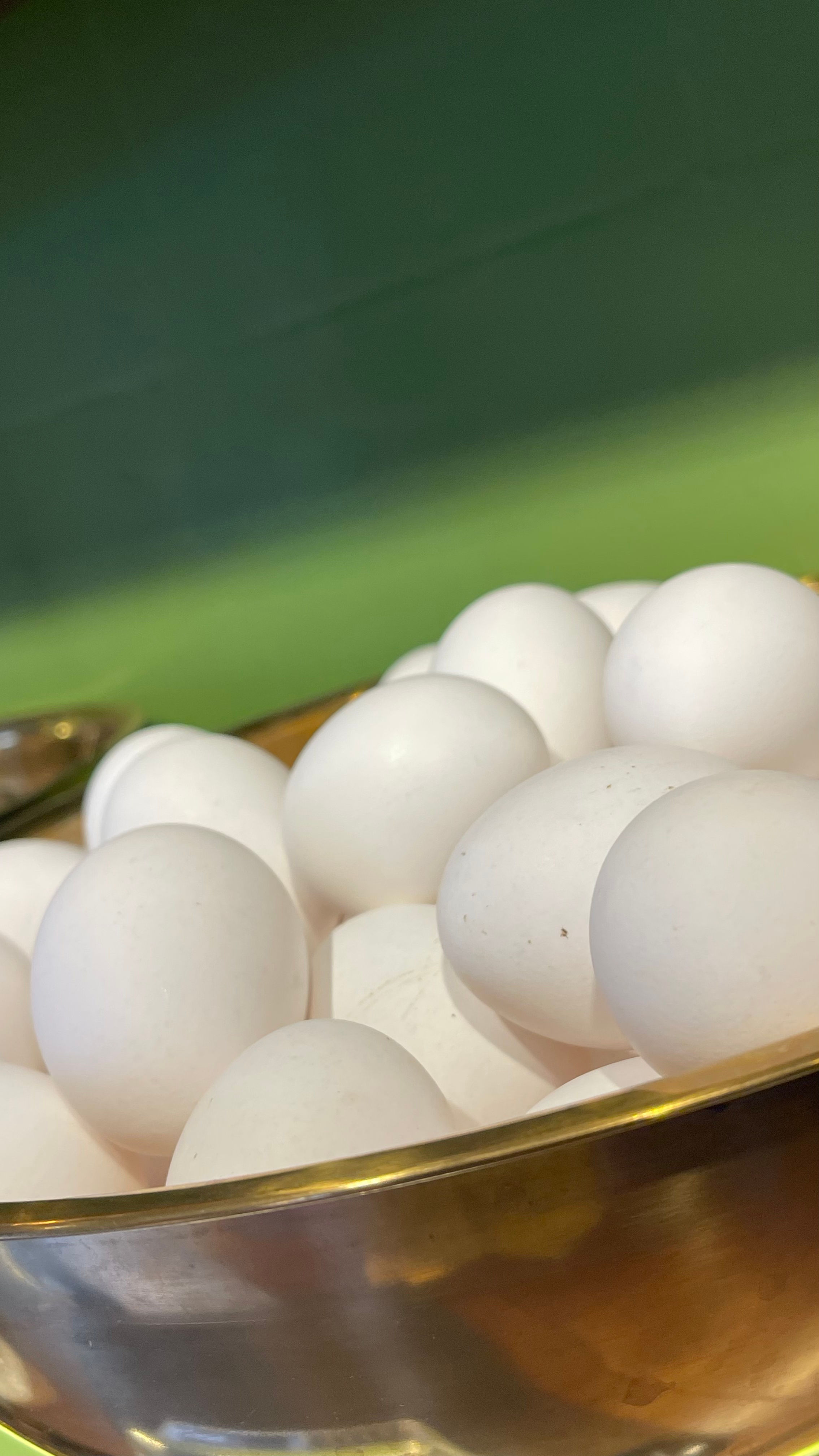 Huevos camperos