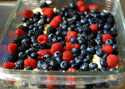 fresh-berries.jpg