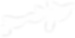 plant13.png