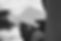 976A0816.jpg