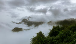 IMG_8520