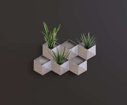 Succulents - Wall Planter.jpg