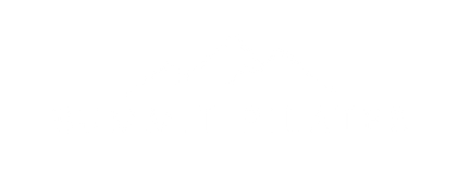 Summit logo_White-on-transparent.png