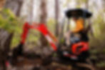 Trail Building