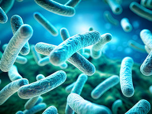 Top 7 Health Benefits of Probiotic Supplements