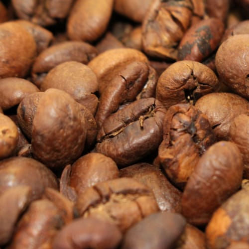 Different types of coffee beans - Liberica Coffee Beans