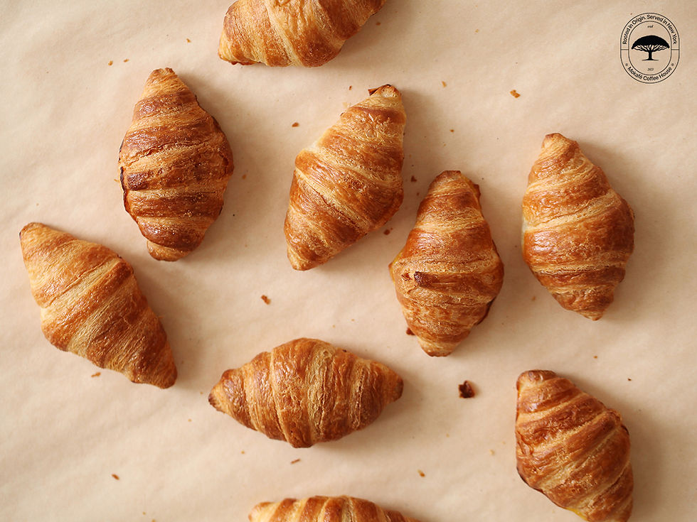 Croissants Recipe