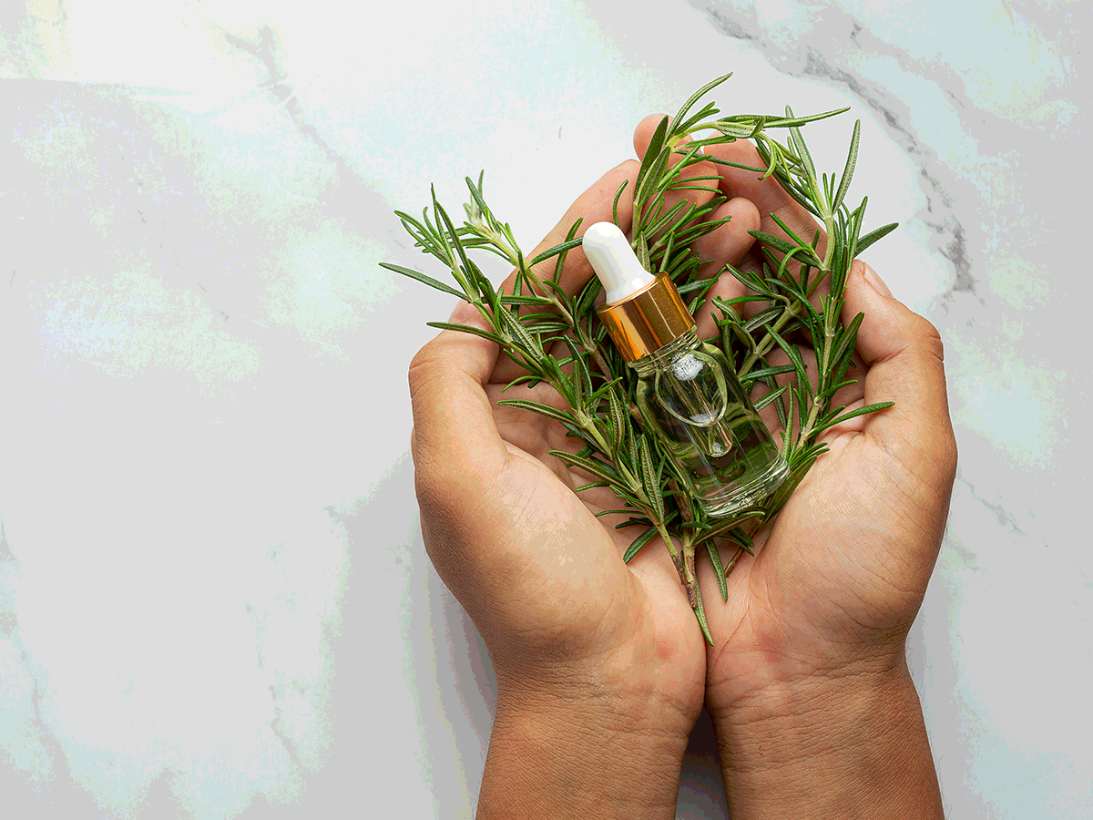 Tea Tree Oil For Hair Growth Does It Really Grow Hair?