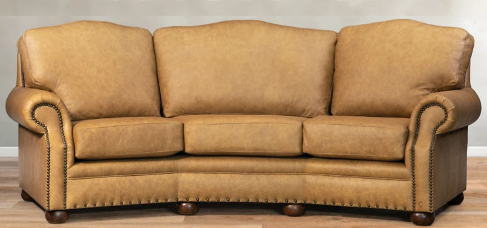 Warm Tan Sofa Color