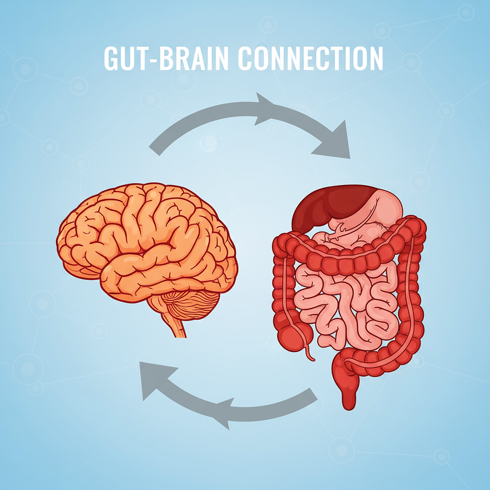 The Gut–Brain Connection: Why Your Digestion Impacts Your Mood