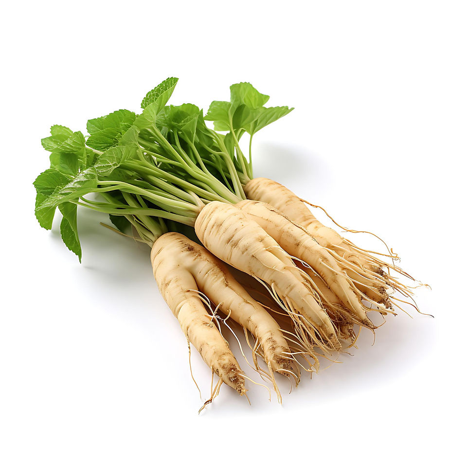 San Qi, also known as Panax notoginseng