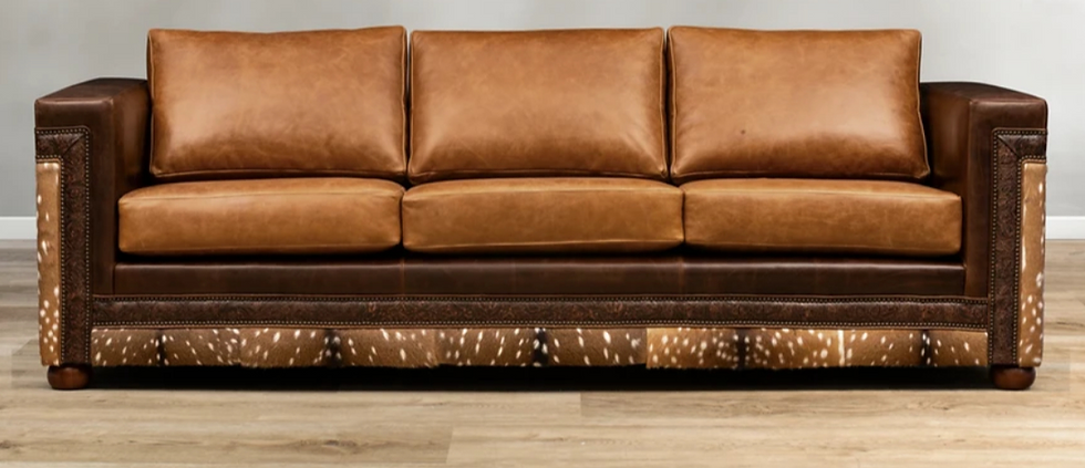 Tan Sofa Color