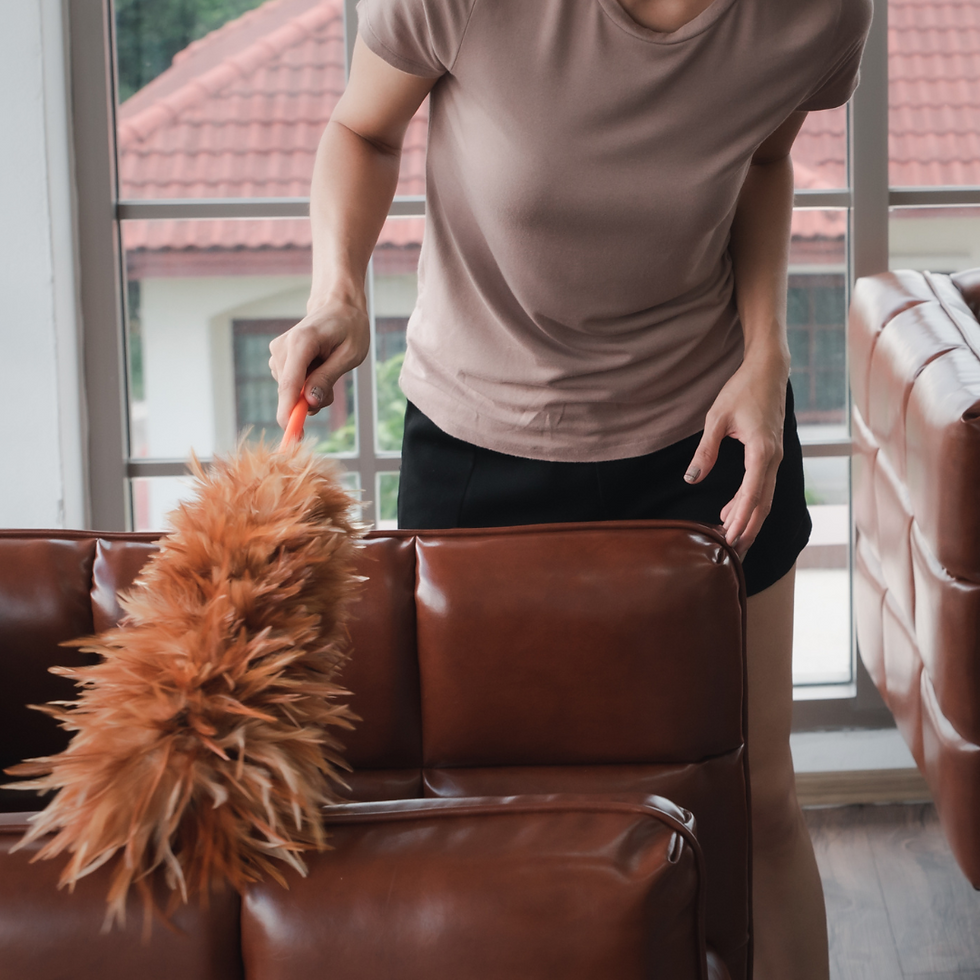 How Often Should You Clean Leather Furniture?
