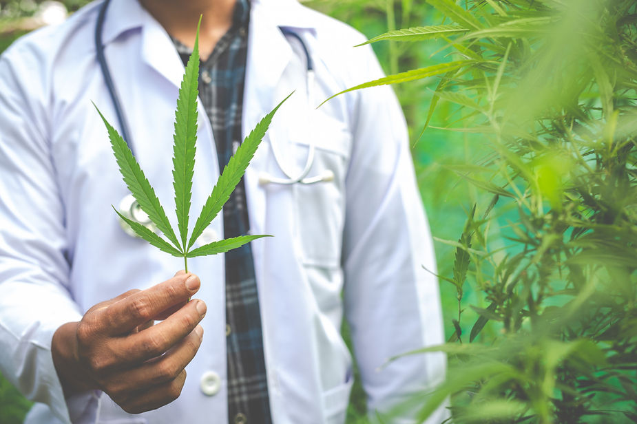 Cannabis in Cancer Treatment