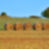 Hay Barrels
