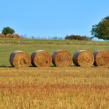 Hay Barrels