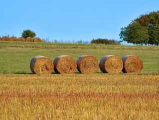 Consultation Now Open For New Rural Planning Policy