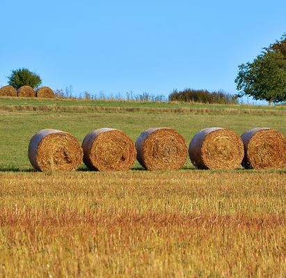 Wholesale Seed Treatment in the Midwest