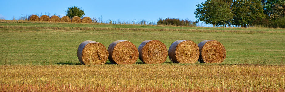 Hay Barrels