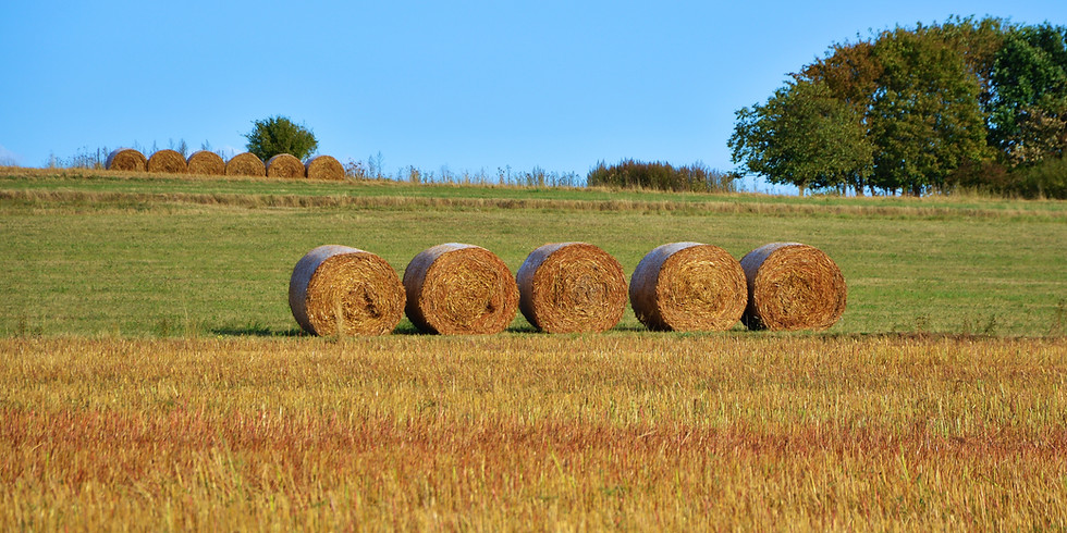 Delmarva Hay & Pasture Conference