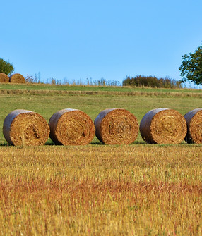 Hay Barrels