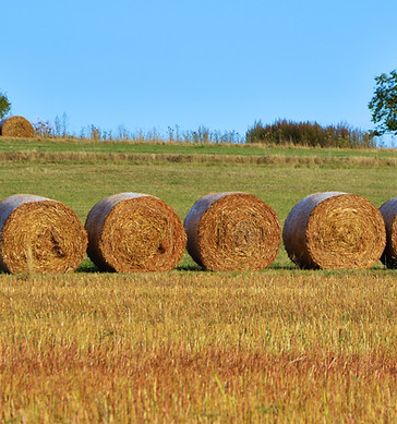 Hay Barrels