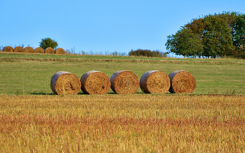Hay Barrels
