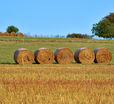 Heuballen