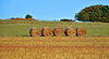 Hay Barrels