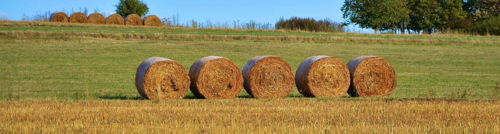 Hay Barrels