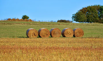 Hay Barrels