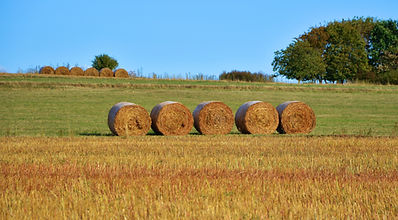 Hay Barrels