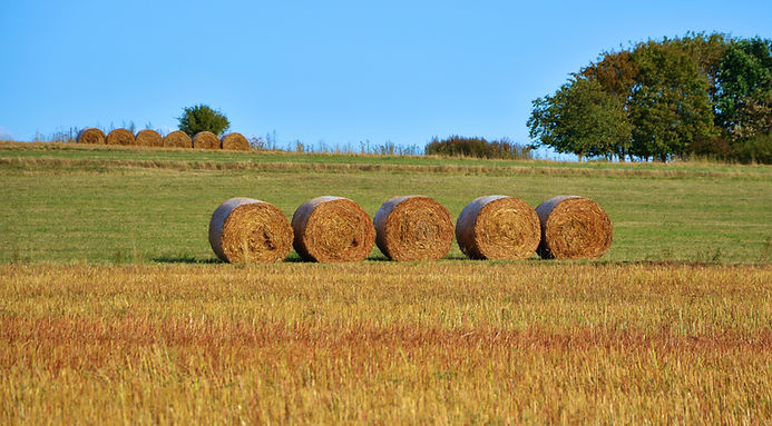 Hay Barrels