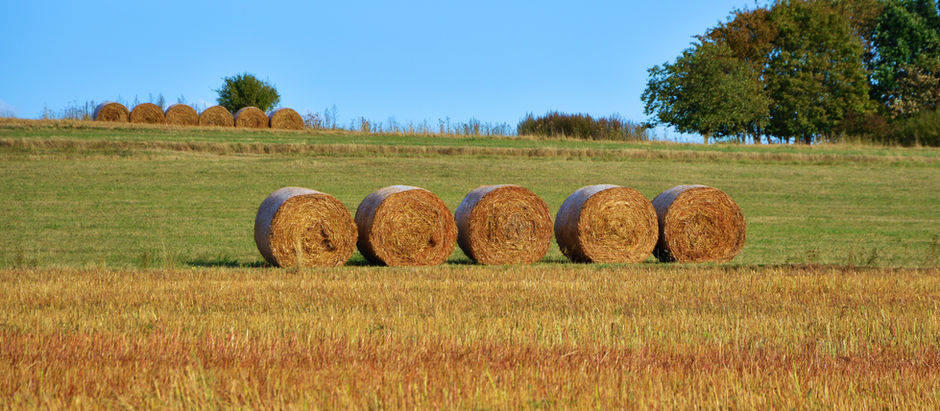 Bewertung eines Betriebes der Land- und Forstwirtschaft für Zwecke der Erbschaftsteuer