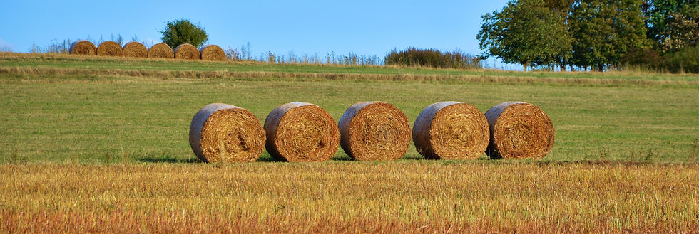 Hay Barrels