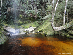 Rio Preto - Cachoeira da agua amarela