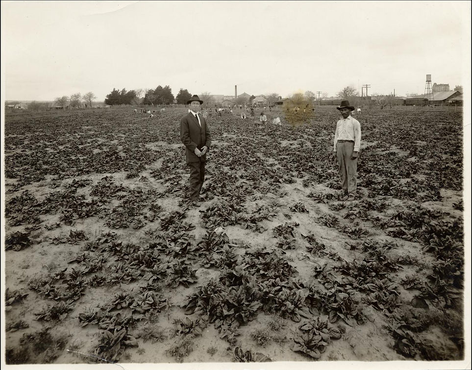 Early 1900s Spinach Farm Austin-Driskill Hotel (back right), Still existing Train crosses the river at Seaholm Power Plant (center back) in distance.