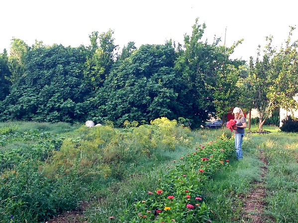 1 finding flowers in weeds.jpeg