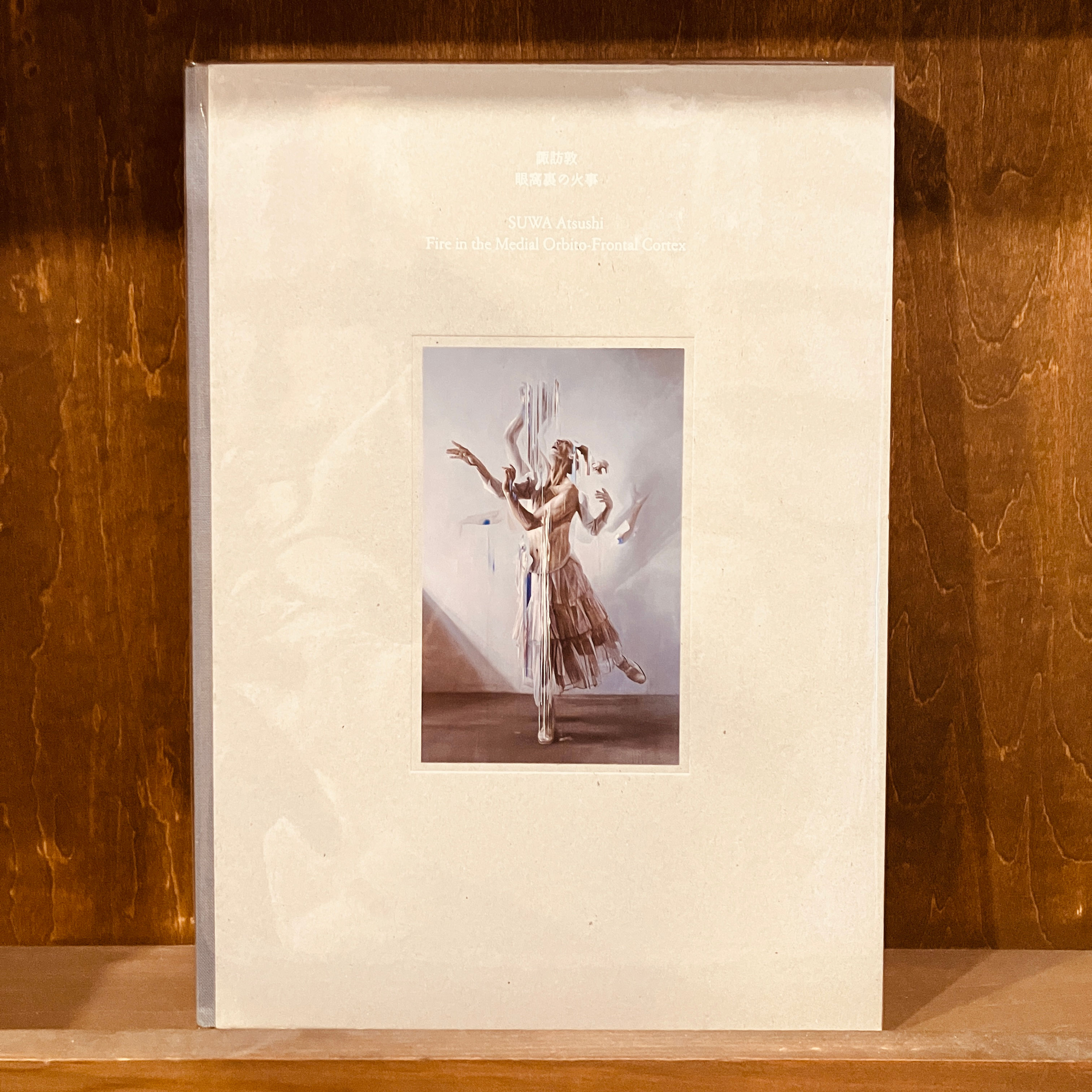 【古本】諏訪敦『眼窩裏の火事』