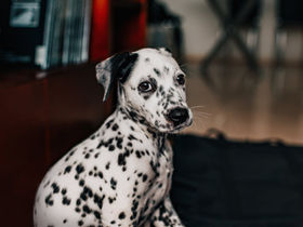 Being Proud Of Your Spots