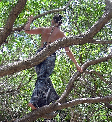 femme arbre.JPG