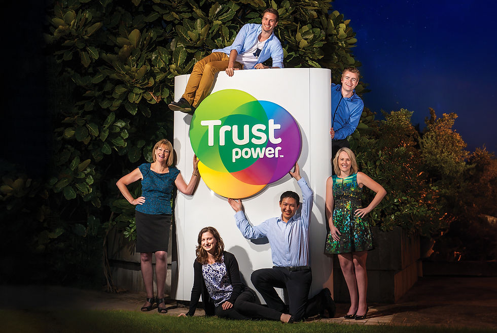 TRUSTPOWER | Art & Industry