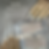 IMG_7764.png