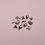 Miniatura: Champagne Bling it Pack #1