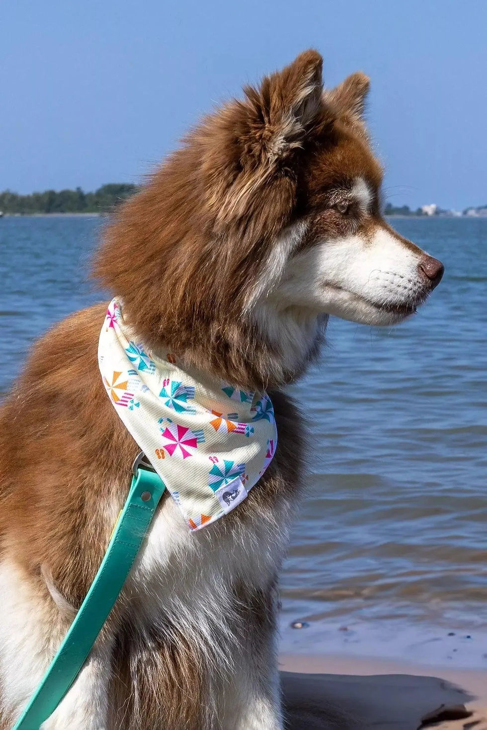 Thumbnail: Sun & Shade Dog Bandana & Matching Keychain