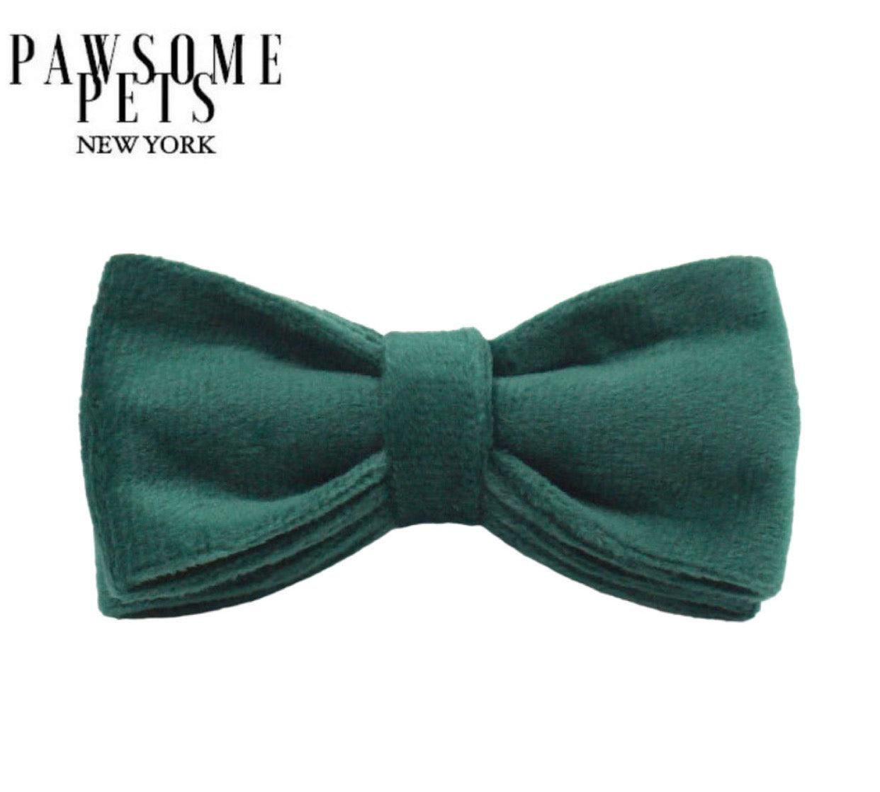 BOWTIE - VIRIDIAN